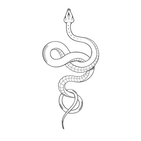 🖤 Tattoo Snake Snake Tattoo Design Tattoo Designs Men Body Art