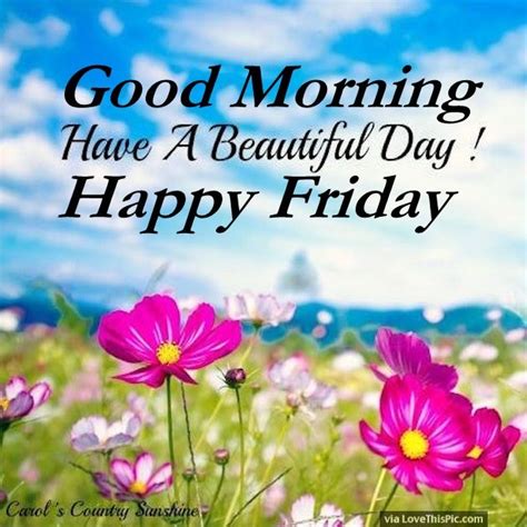 Hello everyone, we wish you good friday 2021 to all my site visitor. Good Morning Have A Beautiful Day Happy Friday Pictures, Photos, and Images for Facebook, Tumblr ...
