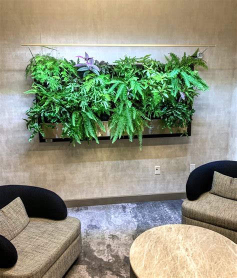 Interior Plant Design Style By Living Walls Edmonton Plants On Walls