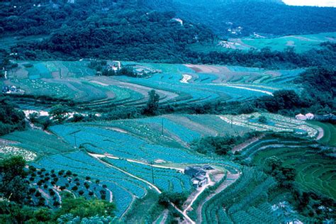 Taiwan Chinese Agriculture Terraced Farms Seen From Yan Flickr