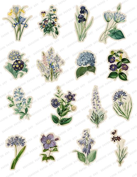 Stickers Para Imprimir Flores Vintage Laminas Imprimibles Etsy