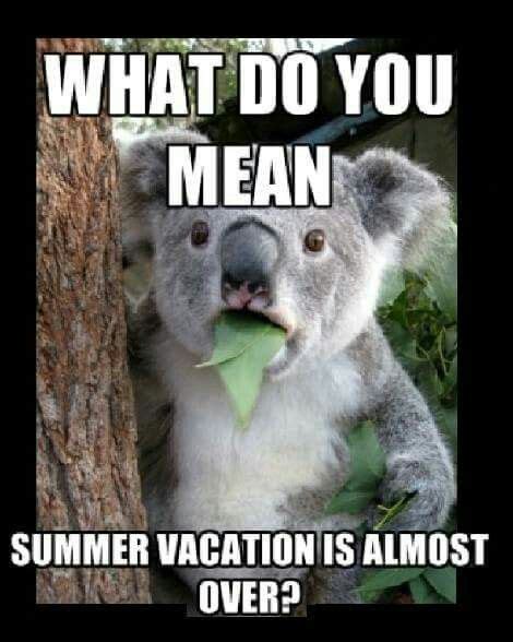 Vacation Almost Over Meme The O Guide