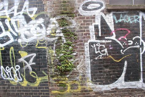 Free Stock Photo Of Art Brick Wall Graffiti Street Art