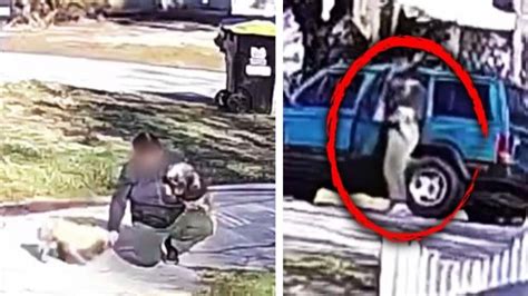 Florida Woman Arrested After Allegedly Stealing 2 Dogs Caught On Camera