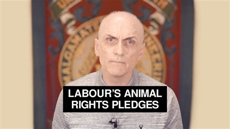 Labours Animal Rights Pledges Chris Williamson Mp Youtube