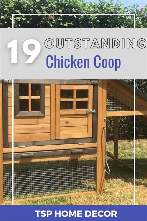 19 Outstanding Chicken Coop Design Ideas To Inspire You Tsp Home