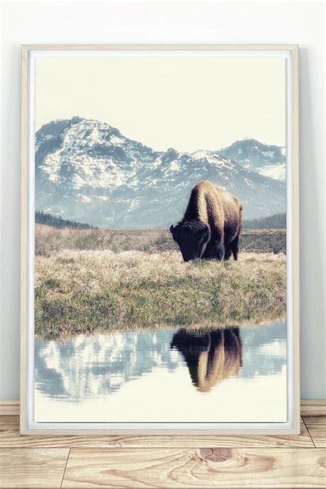 Discover top restaurants, spas, things to do & more. American Buffalo Print - Wall Decor, Bison Decor, Large ...