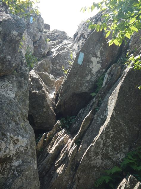 We took on this shenandoah national park hike after breakfast on our second day at the park. Oh To Be Hiking!: Bearfence Mountain