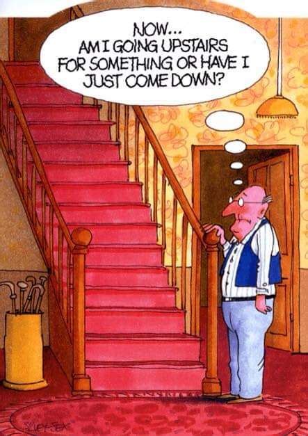 Pin By Phyllis H On Corny Cartoons Funny Cartoon Pictures Old Age