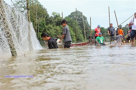 Sesampainya di plasa telkom group, langsung masuk ke kantor utama dan tanyakan pada petugas mba, saya mau pasang wifi. Menggarau ikan di Sungai Berang - Ruggedmom.com