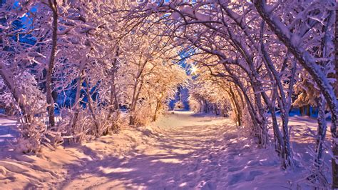 Free Download Winter Snow Christmas Sidewalk Roads Lights White Trees
