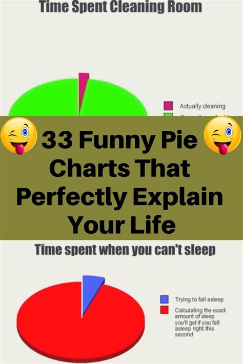 33 Funny Pie Charts That Perfectly Explain Your Life Funny Pie Charts