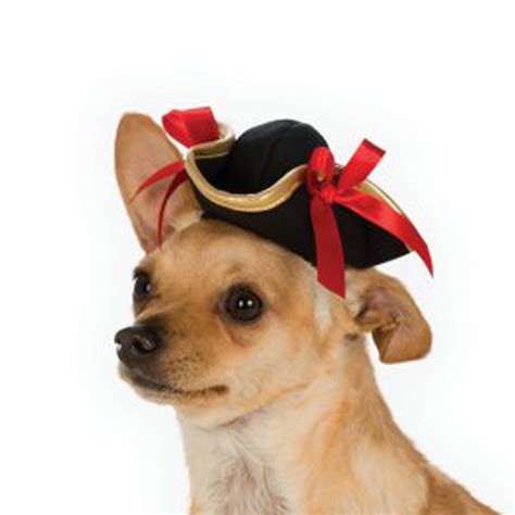 Halloween Pirate Girl Dog Hat By Rubies Baxterboo