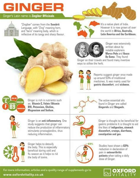 Ginger Infographic Cinnamon Health Benefits Nutrition Facts Watermelon Health Benefits