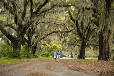 Vacation Guide To St Simons Island Georgia Eat Stay And Play Updated