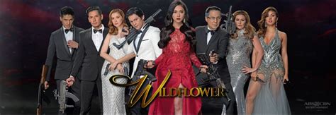 Maja Salvador S Wildflower Is Best Asian Drama Nominee In Asia Contents Awards At Busan Intl