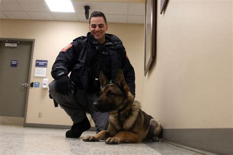 K9 Unit Dispatched To Three Rescues In One Night
