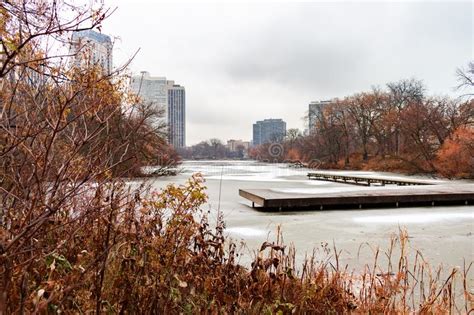 North Pond In Lincoln Park Chicago Surrounded By Plants And Trees In