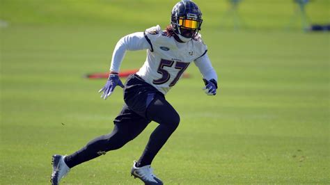 Ravens 2018 Position By Position Breakdown Linebackers Baltimore Sun