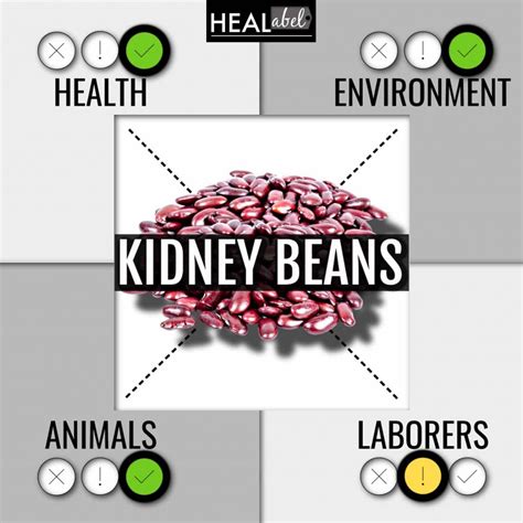 Kidney Bean Benefits Side Effects Vegan Low Fodmap Acidic