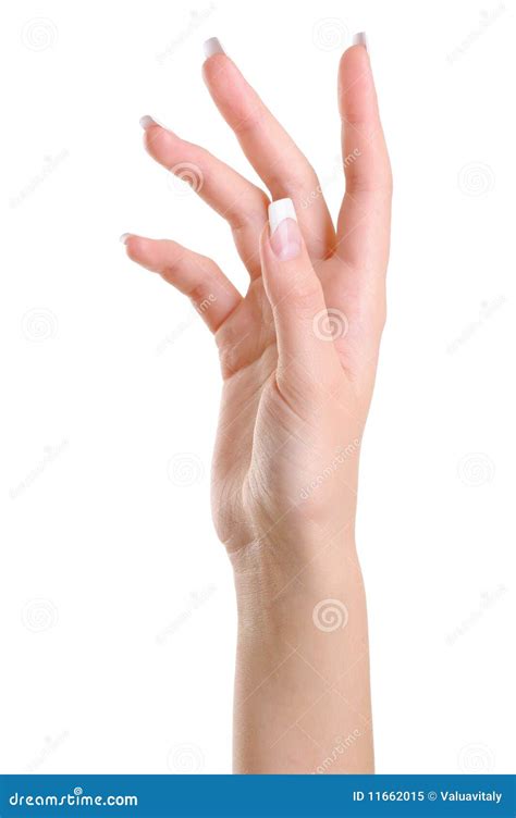 One Elegant Female Hand With Beauty Fingers Stock Image Image Of