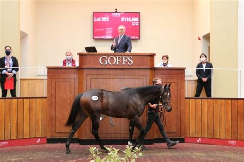 tweenhills havana gold colt tops the second day of the goffs uk premier yearling sale