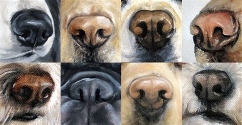 The Ultimate Guide On How To Paint Dog Noses