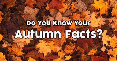 Do You Know Your Autumn Facts Quizpug