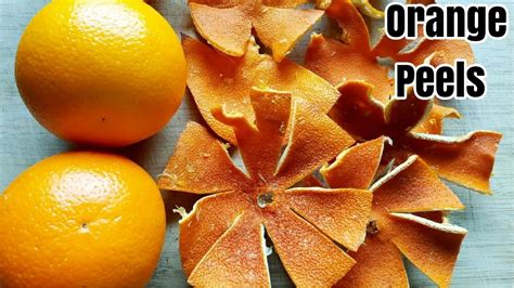 How To Dehydratedry Orange Peels At Home Without Sunlight Homemade