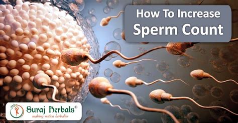 How To Increase Sperm Count Naturally At Home Suraj Herbals
