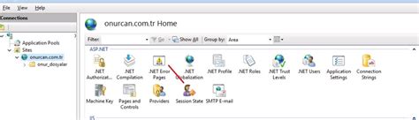 Custom Error Pages In IIS With ASP NET Virtualization Blog