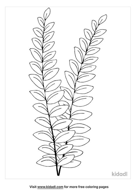 Free Fern Coloring Page Coloring Page Printables Kidadl