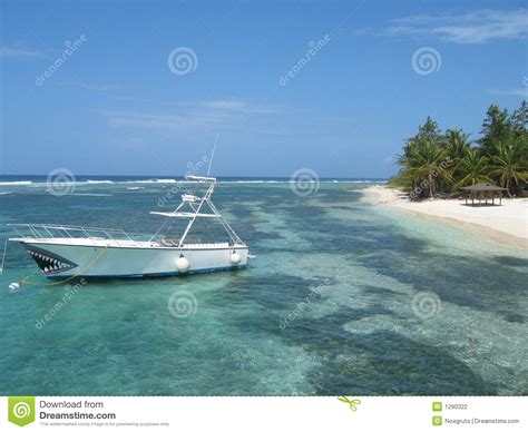 Caribbean Beach stock photo. Image of caribbean, beautiful - 1290322