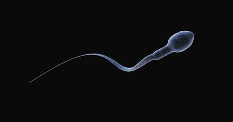 Too Many Women Are Assaulted By Their Sperm Donors Huffpost
