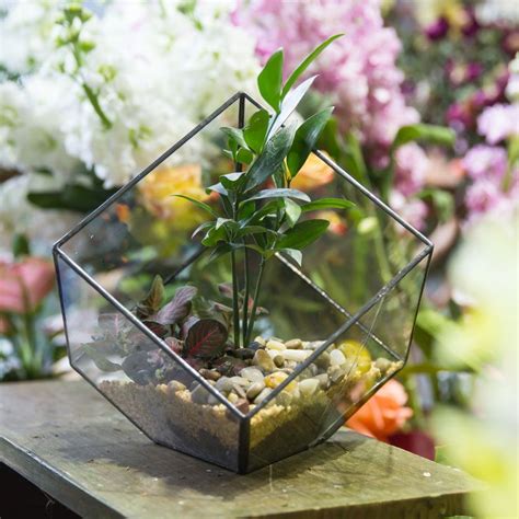 Polyhedron Glass Flower Box Tabletop Geometric Terrarium Plants
