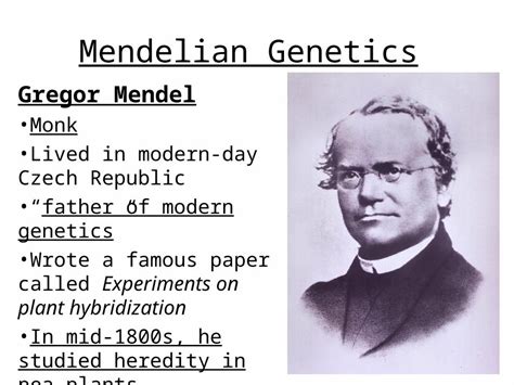 Ppt Mendelian Genetics Gregor Mendel Monk Lived In Modern Day Czech