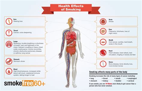 Smoking Affects Many Parts Of Your Body Think About How Quitting Will Improve Your Health