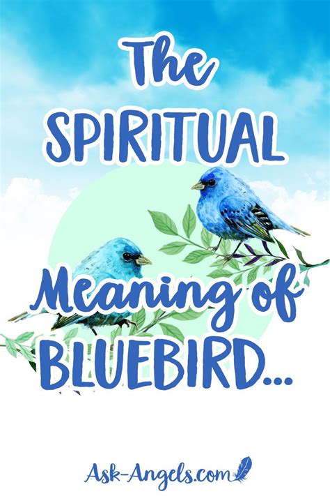 Two Blue Birds Sitting On Top Of A Branch With The Words The Spirital Meaning Of
