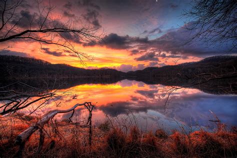 Sunset Night Lake Forest Water Tree Branches Sky Clouds Reflection Hd