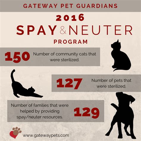 A Successful Year For The Spayneuter Program Gateway Pet Guardians