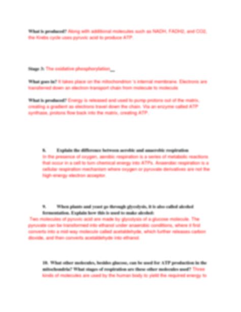SOLUTION: Ch 6 cellular respiration worksheet 9 - Studypool