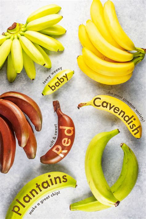 Visual Guide To Bananas Banana Banana Recipes Banana Types