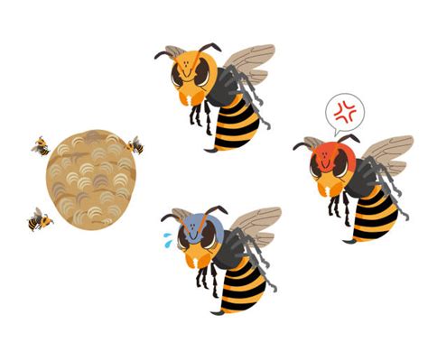 840 Hornets Nest Illustraties Royalty Free Vector Illustraties En