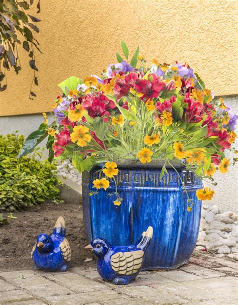 Freesia Flowers In Blue Pot In Garden Outdoor Royalty Free Stock Photo