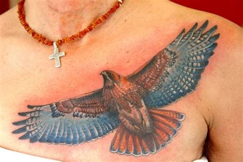 Red Tailed Hawk Tattoos For Women In August Of 1992 The Newly
