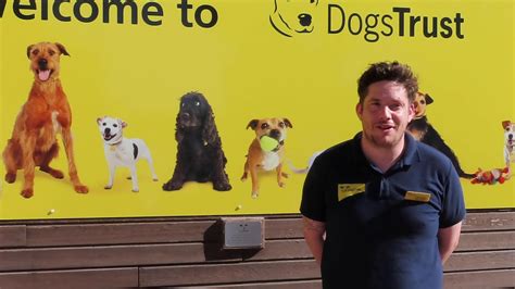 Latest Tv Talks To The Dogs Trust Youtube