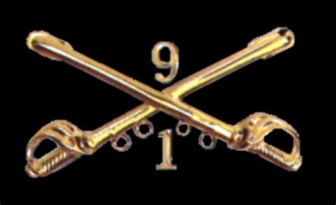 1st Squadron 9th Cavalry 1st Air Cavalry Division