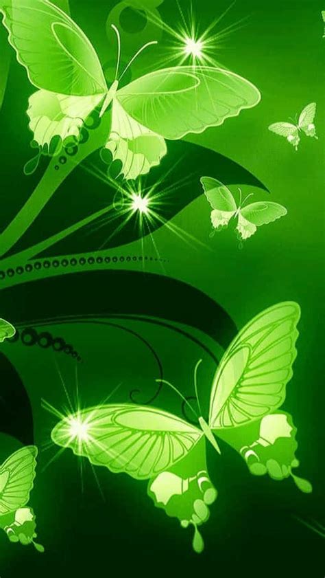100 Green Butterfly Wallpapers