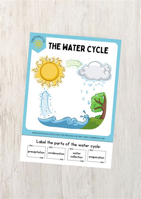 Water Cycle Science Worksheet — Gogu Education