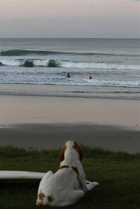 Te Arai Point Surf Forecast And Surf Reports Northland New Zealand